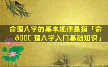 命理八字的基本规律是指「命 🐕 理八字入门基础知识」